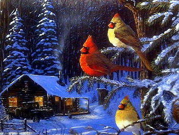 Christmas birds, bird, snow, christmas, cardinal, tree HD wallpaper