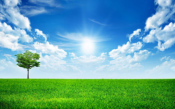Land and sky , Grassland , Sky backgrounds HD wallpaper