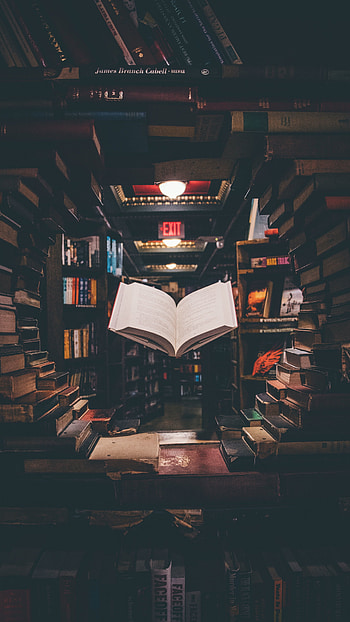Books library , Sony Xperia Z5 Premium, background, Peaceful reading oasis HD phone wallpaper