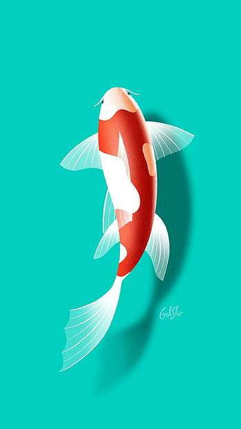 Koi fish , Japanese fish symbolism, Beautiful aquatic ry, Tranquil and serene HD phone wallpaper