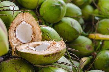 I have the coconuts ~ Who has the oranges?, summer, green, fruit, coconut, vara HD wallpaper