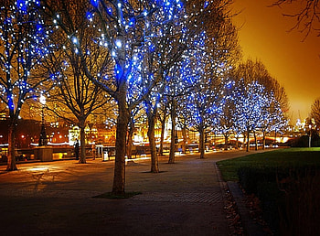 CHRISTMAS LIGHTS AT NIGHT, BEAUTIFUL, CHRISTMASLIGHTS, GLOW, SPARKLE HD wallpaper