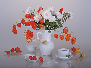 October Sunday Tea, still life, october, sunday, tea, flowers HD wallpaper