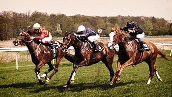 Horse racing HD wallpaper