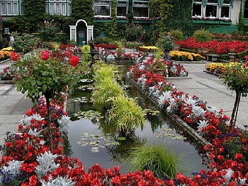 beautiful garden, garden, beautiful, flowers, home HD wallpaper