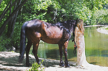 Beauty With Her Friend, river, sand, horse, cowgirl, blonde, dress, woman, lady, trees, water, female HD wallpaper