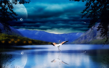 Landscape, Nature, Birds HD wallpaper