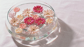 Flowers, Bright, Miscellanea, Miscellaneous, Glass, Bath HD wallpaper