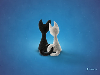 Black cat, white cat, blue, kitten, white, black, abstract, cat HD wallpaper
