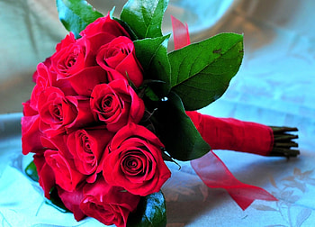 Flowers, Roses, Registration, Typography, Greens, Bouquet HD wallpaper