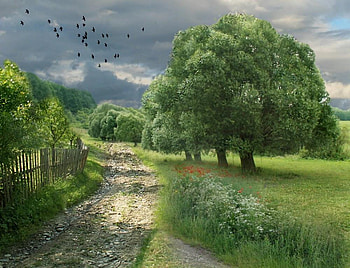 Spring path., path, flower, fence, sky, spring, cloud, tree HD wallpaper