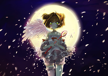 Short hair, night, Cute, Sakura Kinomoto HD wallpaper