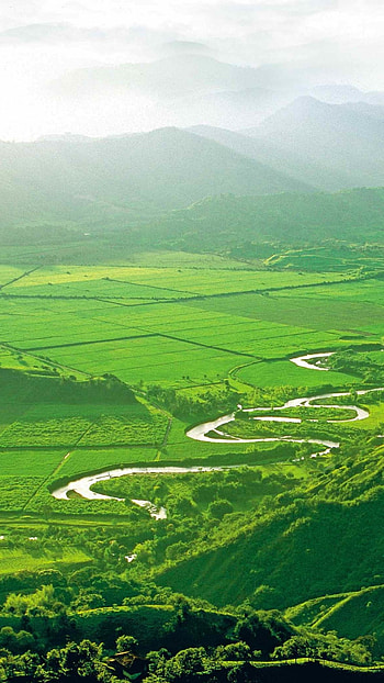 Colombia , Valle de Cocora, Majestic mountains, Tranquil river HD phone wallpaper