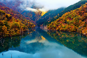 Mountain lake in the fall, colorful, mirror, hills, fall, beautiful, lake, mountain, serenity, tranquil, mist, reflection, autumn, forest, calmness HD wallpaper