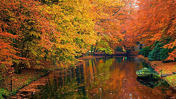 Landscape, Nature, Trees, Autumn HD wallpaper