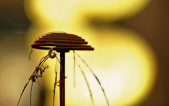 Miscellanea, Miscellaneous, Blur, Smooth, China, Figurine HD wallpaper