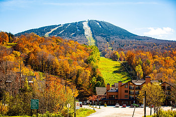 Fall in Burlington, Autumn guide, Foliage beauty, Scenic drives HD wallpaper