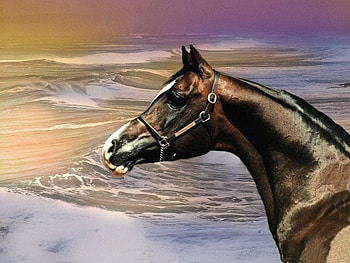 Master of the Waves, waves, nature, arabians, animals HD wallpaper