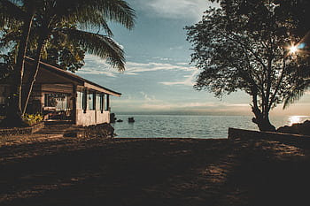 A serene beachfront house surrounded by palm trees overlooking a calm ocean during sunset. HD wallpaper