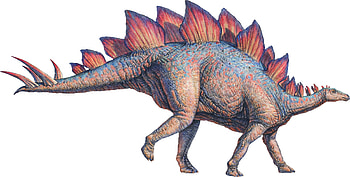 Stegosaurus , Animal gallery, High-quality , resolution HD wallpaper