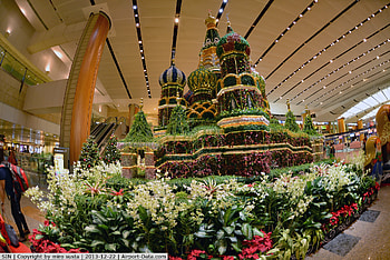 Singapore Changi International Airport, Changi Singapore, SIN , Changi airport HD wallpaper