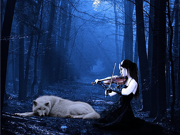 *I like to hear your music*, blue, white, woods, art, girl, wolf, sadness, violin, dark, music, playing, moonlight, fantasy, forest, friends HD wallpaper