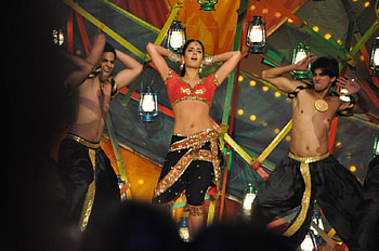 KATRINA KAIF, sexy, babe, hot, women, nice HD wallpaper