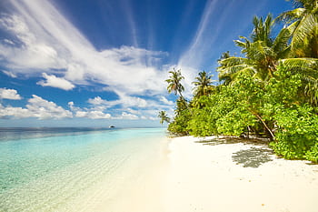 Pristine beach with turquoise waters and palm trees on Laamu Atoll, Maldives. HD wallpaper