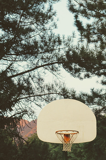 Basketball, Miscellanea, Miscellaneous, Shield, Branches, Grid, Basketball Hoop, Basketball Ring HD phone wallpaper