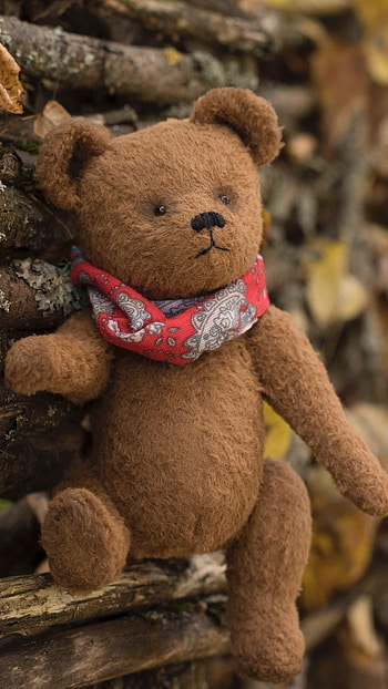 Teddy Bear Wale, Wooden Background HD phone wallpaper
