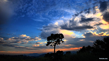 3D Art Nature, 3d art, nature HD wallpaper