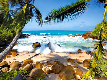 Tropical paradise, tropical, relax, nice, beach, sands, horizons, water, ocean, palm trees, palms, sea, tropics, exotic, paradise, beautiful, stones, rest, nature, lovely HD wallpaper
