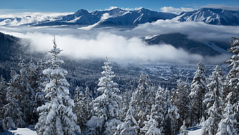 Snow Covered Spruce Trees With Fog Mountains Blue Sky Scenery Background Winter HD wallpaper