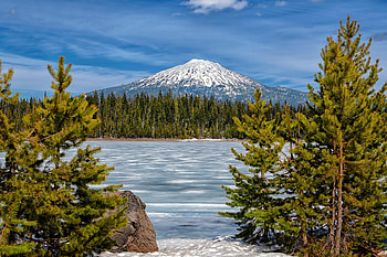 Snow Caped Mt. Bachelor, Oregon, nature, mountains, usa, snow, forest HD wallpaper