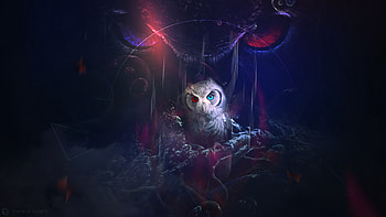 Art, Owl, Bird, Multicolored, Motley, Eyes HD wallpaper