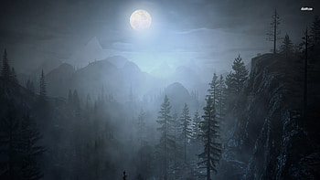 Fog Forest Night HD wallpaper