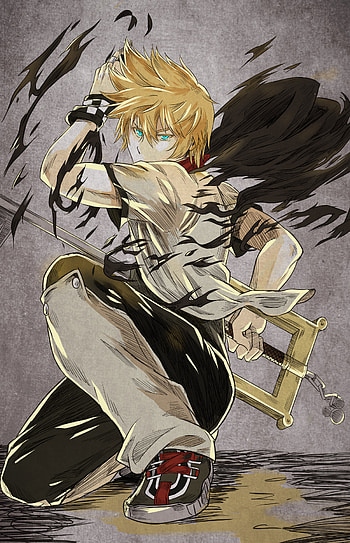 Roxas Kingdom Hearts, Mobile , Anime board, 358/2 days HD phone wallpaper