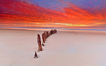 Beach Sunset, sand, sunsets, beaches, sky, nature HD wallpaper