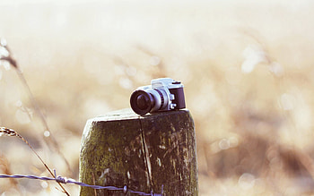 Grass, Miscellanea, Miscellaneous, Field, Camera, Stump, Wire, Penek HD wallpaper