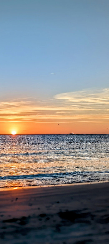 Sunset, cloud, sky, beach, birds, sun, water, boat HD phone wallpaper