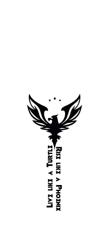 Phoenix Tattoo, feather, Quotes HD phone wallpaper
