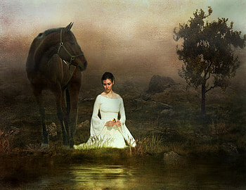 evening, horse, lady, lake HD wallpaper