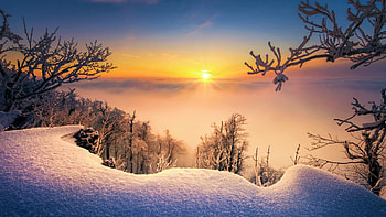 Snowy morning at the Carpathians, Slovakia, sun, sunrise, snow, landscape, trees, sky HD wallpaper