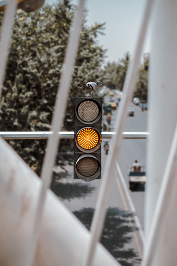 Miscellanea, Miscellaneous, Bird, Dove, Traffic Light, Signal HD phone wallpaper