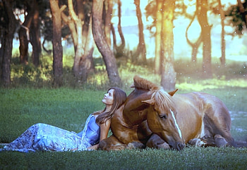 Together with the rest, girl, horse, nature, together HD wallpaper