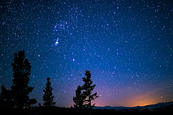 Beautiful starry night sky with silhouetted trees, showcasing the vast cosmos. HD wallpaper