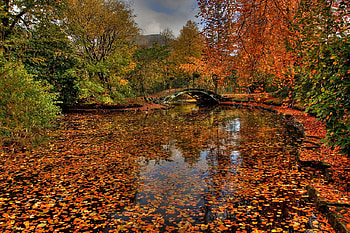 autumn tears, bridge, autumn, leaves, lake HD wallpaper