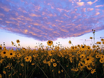earth and heaven, beautiful, nice HD wallpaper