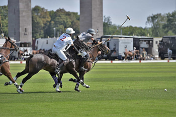 Maifeld Polo Cup Berlin 2019, Horse Polo HD wallpaper