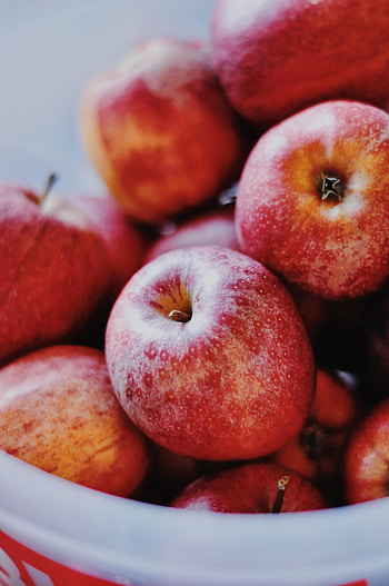 Apples, Fruits, Food HD phone wallpaper